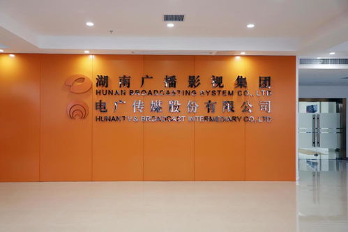 电广传媒上半年净利润4.71亿创纪录，艺术策划与内容生态协同发展成亮点